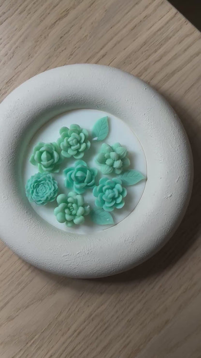 Succulent Glow